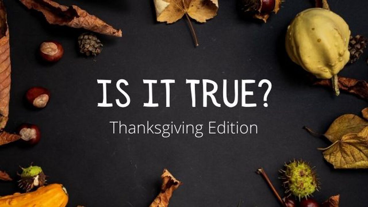 Is It True Thanksgiving Edition image number null